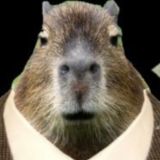 комментаторис