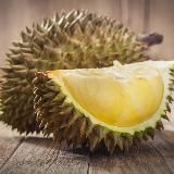 🚫 Запрещенные инфопродукты