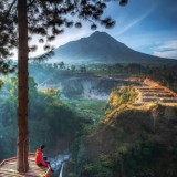 Своим Ходом 🗺