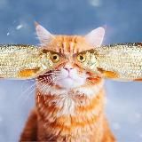 Дайте рыбов!