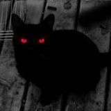 🐈⬛ 𝗧𝗨𝗘𝗦𝗗𝗔𝗬 ➊➌