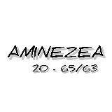 AMINEZEA 20-65/63