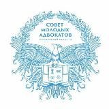 Молодежная адвокатура Подмосковья