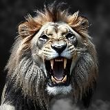 Животные 18+