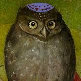 Дежурные по иудаике