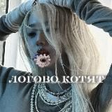 ⋆⁺₊⋆ ᴧᴏᴦᴏʙᴏ ᴋᴏᴛяᴛ 🐈