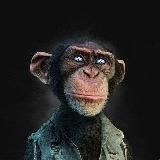 ApeCrypto