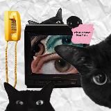 черное кито. 🐈⬛📺