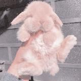 ♡ темки, оформление твоего тг, языки, эстетика