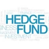 Hedge Fund online