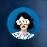 ᵂʰᵒˡⁱˢⁱᵗⁱᶜ ᴿᵃᵐᵇˡⁱⁿᵍˢ