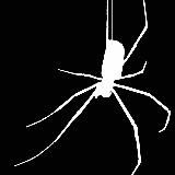 СЛОВО ПАЦАНА