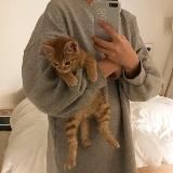 ✨тихие мысли✨