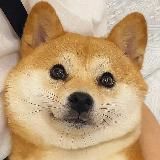 二狗福利站㊙️ASMR/录播