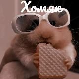 Хомяк | бот бандит