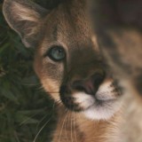 Самые красивые картинки ✨