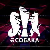eSobaka Турниры
