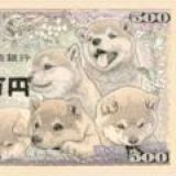 💰DogeQR Main💰