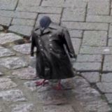 Суета собачья