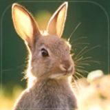 Третий ящик третьего стола