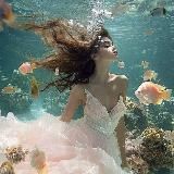 водное послание