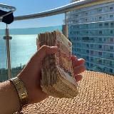 TITAN BET | Прогнозы на спорт🏦🔥