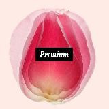 Дефлорация | Premium