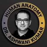 ANATOMY BY DR ASHWANI KUMAR