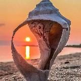 🕊️ ХРАМ ДУШИ 🕊️