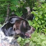 КлушУткаРус