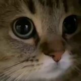 Турусельна