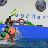 Комментарии “ЗООСПОРТ»