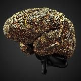 Конференция