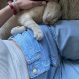 просто дианочка🤍