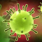 Коронавирус ПИТЕР ОНЛАЙН