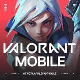 VALORANT MOBILE | VINFO