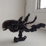 Чорный гештальтист