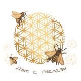 Дом с пчёлами