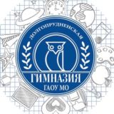 Долгопрудненская гимназия