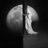 🕸 DARK АРХИВ 📚