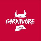 Chat Карнивор библиотека