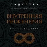 Внутренняя инженерия