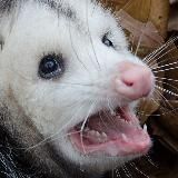 Горели/Выгорали