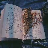 Трое в лодке киноиндустрии