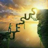 The Shepherd's word