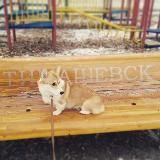 ТИМАШЕВСК НОВОСТИ