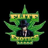 Elite Exotics