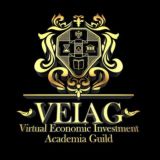 VEIAG Bounty Program