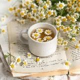 Вода с ромашкой | Книжный блог 📚