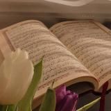 НАШИДЫ | МАВЛИДЫ